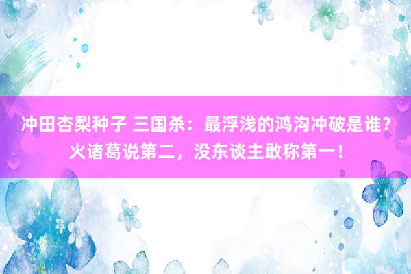 冲田杏梨种子 三国杀：最浮浅的鸿沟冲破是谁？火诸葛说第二，没东谈主敢称第一！