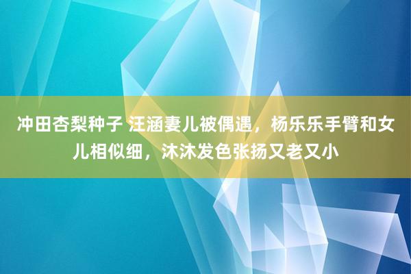 冲田杏梨种子 汪涵妻儿被偶遇，杨乐乐手臂和女儿相似细，沐沐发色张扬又老又小