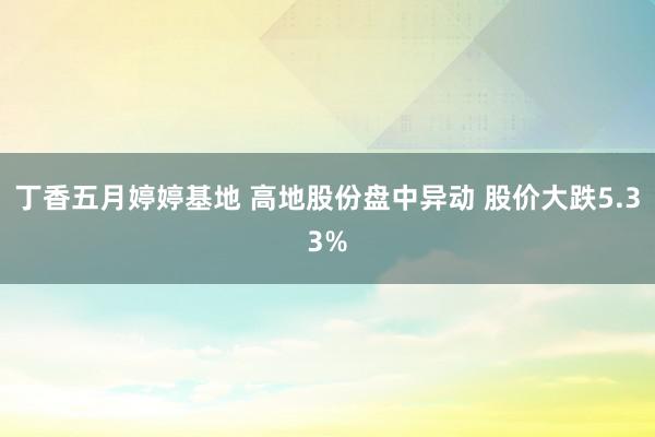 丁香五月婷婷基地 高地股份盘中异动 股价大跌5.33%