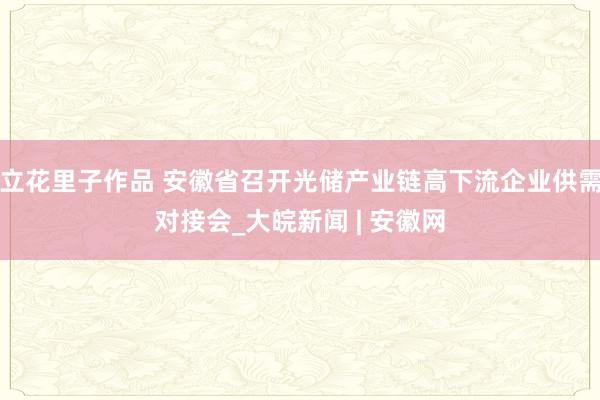 立花里子作品 安徽省召开光储产业链高下流企业供需对接会_大皖新闻 | 安徽网