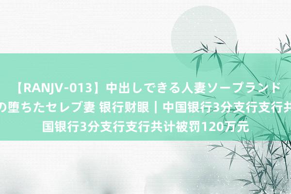 【RANJV-013】中出しできる人妻ソープランドDX 8時間 16人の堕ちたセレブ妻 银行财眼｜中国银行3分支行支行共计被罚120万元