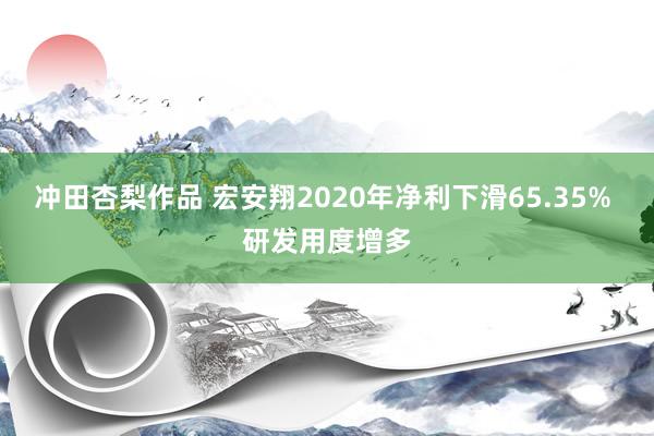 冲田杏梨作品 宏安翔2020年净利下滑65.35% 研发用度增多