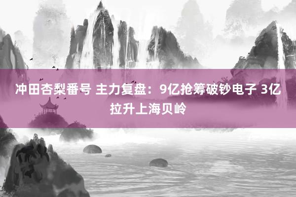 冲田杏梨番号 主力复盘：9亿抢筹破钞电子 3亿拉升上海贝岭