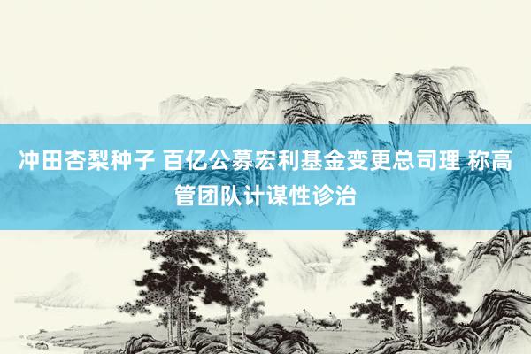 冲田杏梨种子 百亿公募宏利基金变更总司理 称高管团队计谋性诊治