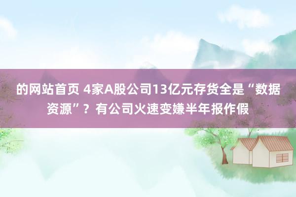 的网站首页 4家A股公司13亿元存货全是“数据资源”？有公司火速变嫌半年报作假