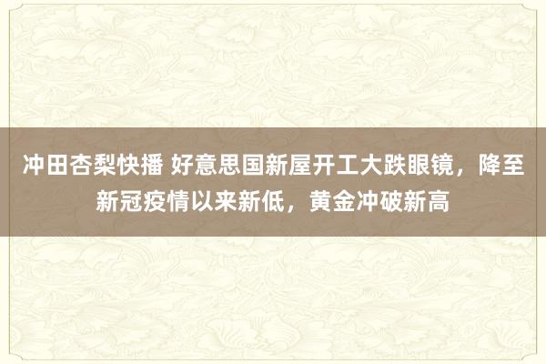 冲田杏梨快播 好意思国新屋开工大跌眼镜，降至新冠疫情以来新低，黄金冲破新高