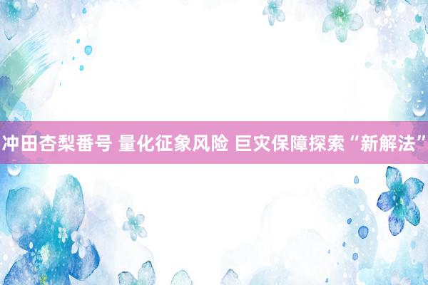 冲田杏梨番号 量化征象风险 巨灾保障探索“新解法”