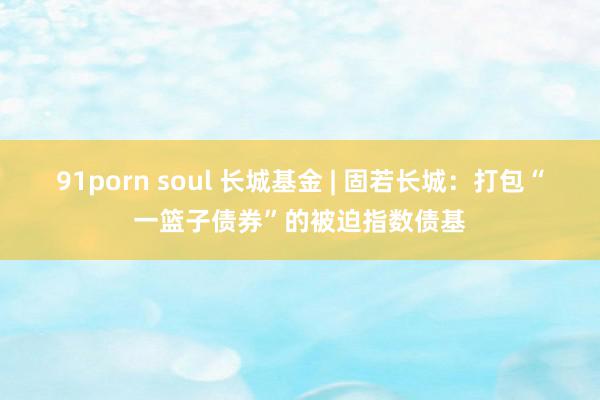 91porn soul 长城基金 | 固若长城：打包“一篮子债券”的被迫指数债基