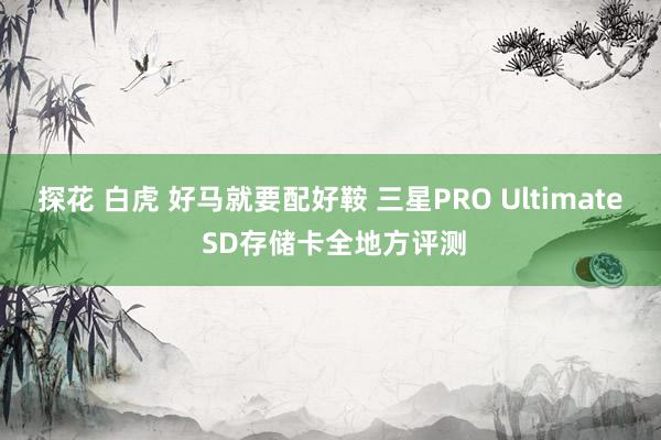 探花 白虎 好马就要配好鞍 三星PRO Ultimate SD存储卡全地方评测