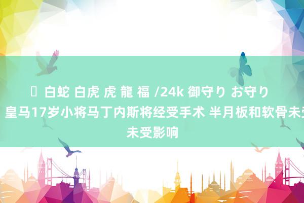 ✨白蛇 白虎 虎 龍 福 /24k 御守り お守り 阿斯：皇马17岁小将马丁内斯将经受手术 半月板和软骨未受影响