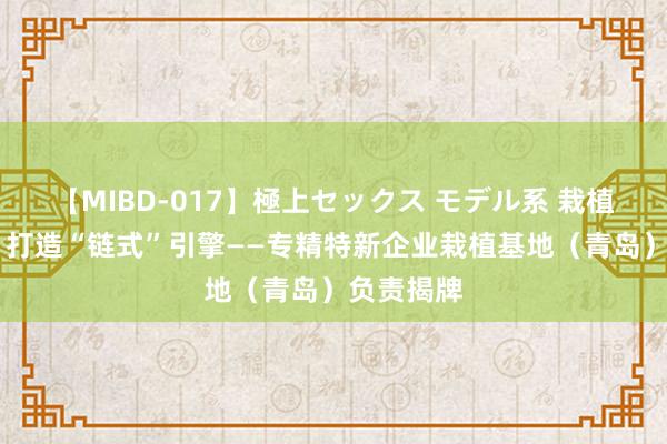 【MIBD-017】極上セックス モデル系 栽植专精特新 打造“链式”引擎——专精特新企业栽植基地（青岛）负责揭牌