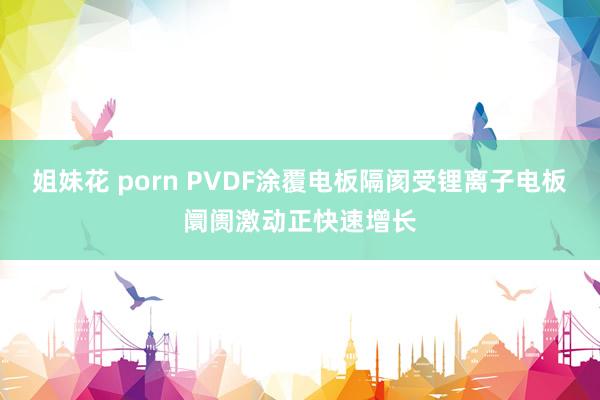 姐妹花 porn PVDF涂覆电板隔阂受锂离子电板阛阓激动正快速增长